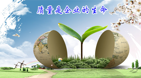 ABUIABACGAAg5I2mwAUot6C5eTDYBDjNAg.jpg